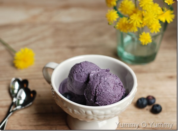Blueberry ice cream