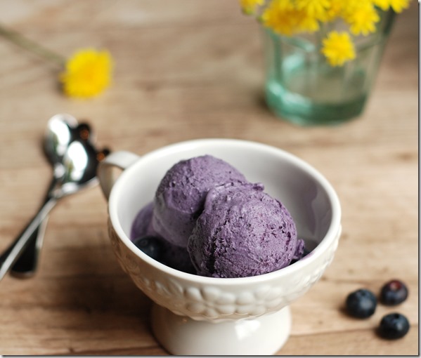 Blueberry icecream